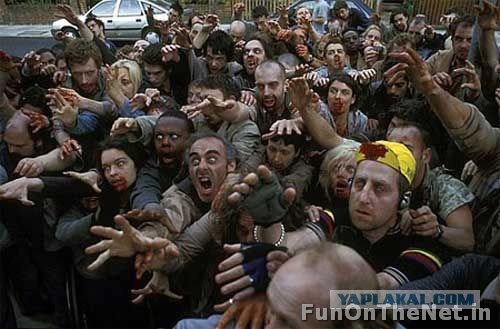 Бешеные фанаты Бибера