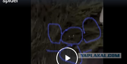 Какая смелая девушка..