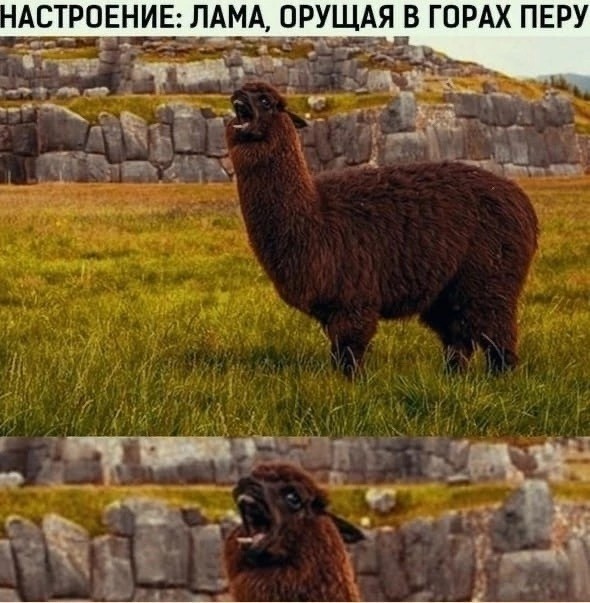 Прикольные и просто красивые картинки 17.05.2024