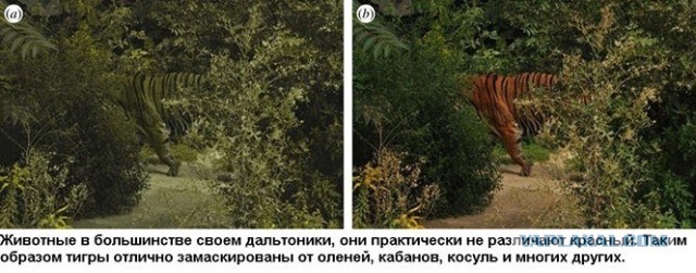 Отборные баяны 10-летней выдержки - SCIENCE 3.0 edition