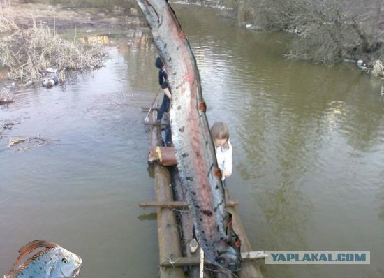 Смелые девочки (5 фото)