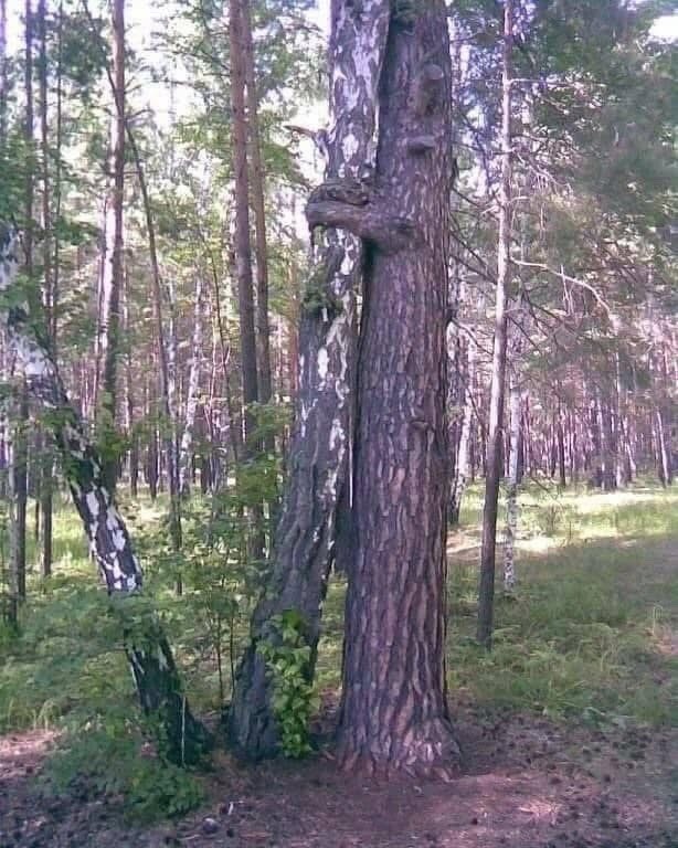 Завалялось тут случайно немного забавных картинок