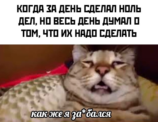 К котовторнику: подборка картинок-баянов с котиками и про котиков. Выпуск 11