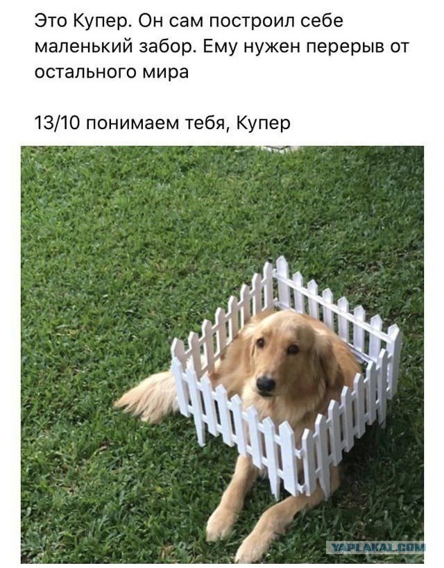С сегодняшнего дня вводится запрет на сплошные заборы на дачных участках