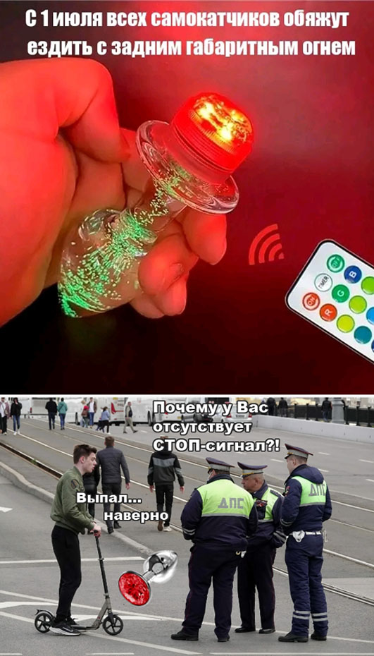 20227267.jpg