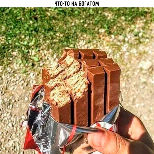 Весёлый полтишок 19.08.25
