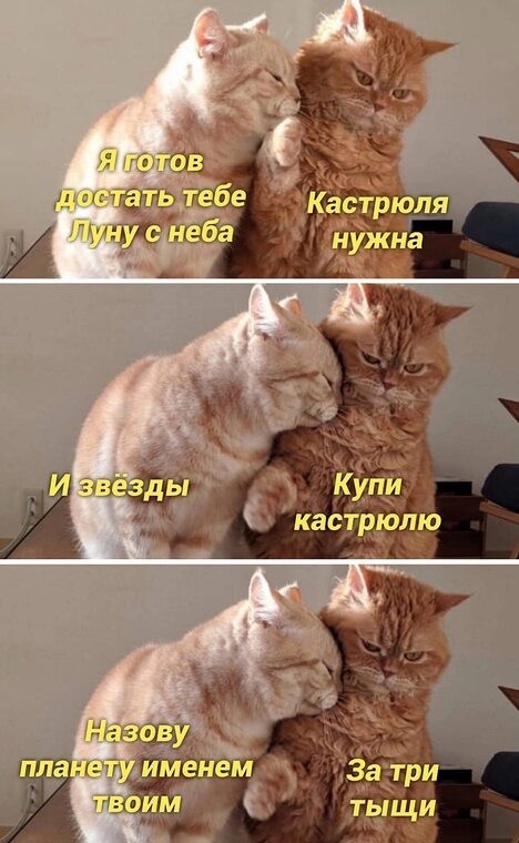 Как выглядит счастье⁠⁠