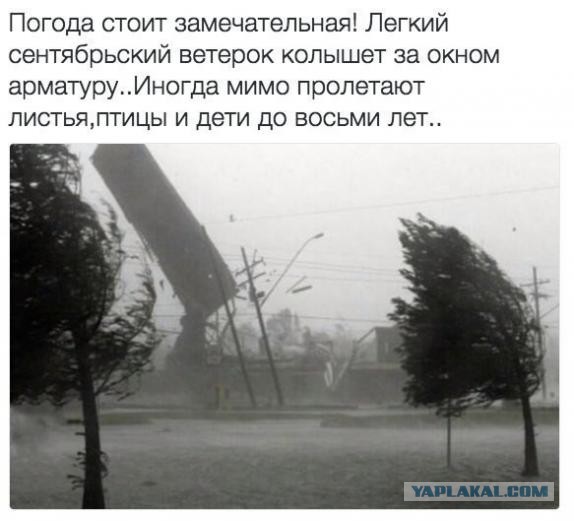 Осень, хули