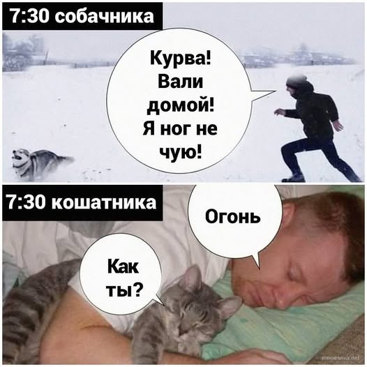 Картинки для деградации 92 (разной степени свежести)