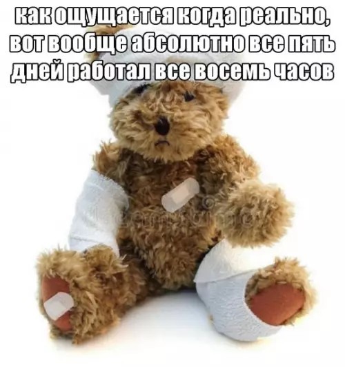 Картиночки, баянчики 31 января