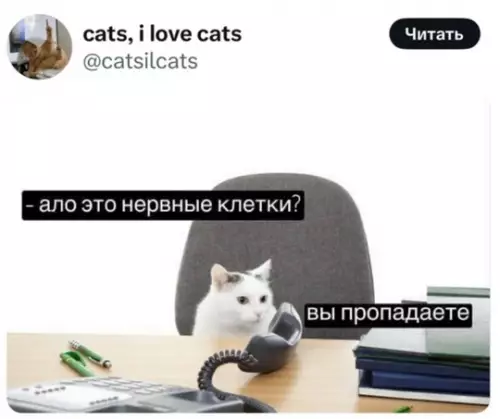 Картиночки, баянчики 16 февраля