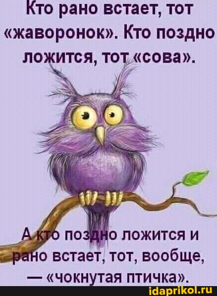 А вы сова или жаворонок?⁠⁠