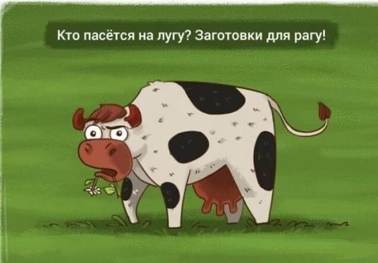 Веганы - страшные люди!