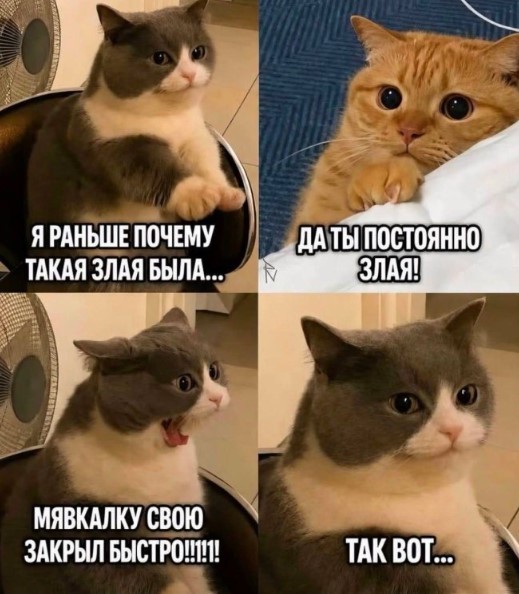 Картинки для деградации 236 (разной степени свежести)