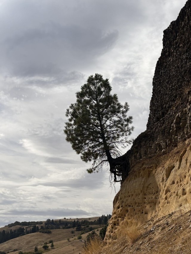 25 моментов, которые жизнь подкидывает нам, когда мы начинаем чуть внимательнее смотреть по сторонам