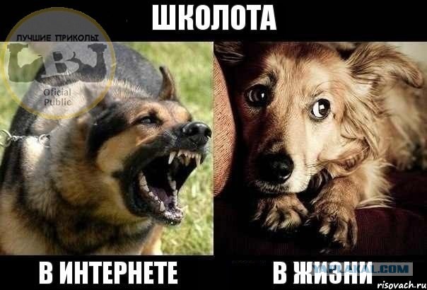 Под Москвой пенсионер убил парня из-за шума