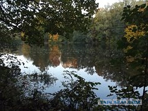 Деревенская Америка