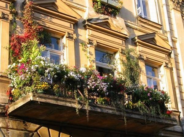 Три лучших балкона Англии (3 фото)