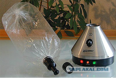 "37 человек умерло от передоза коноплей"