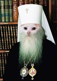 Коты ученых