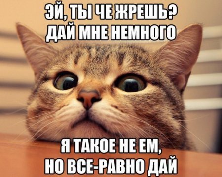 Смешные комментарии из социальных сетей.