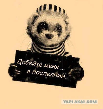 Принтер в экстазе