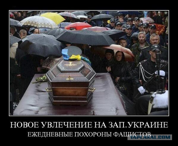 Бесславные ублюдки...