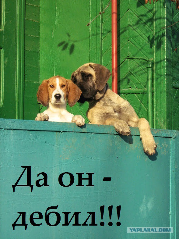 ТСН вещает