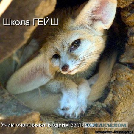 Поднимаем настроение