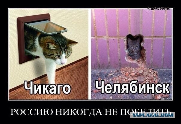 Подборка смешных комментариев.