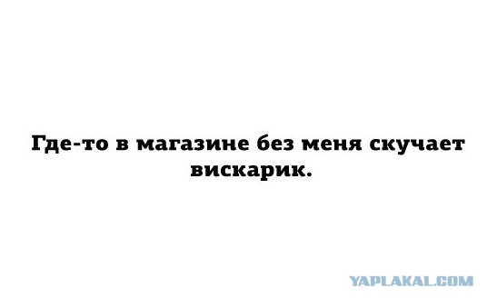 Немного позитива на пятницу