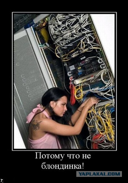 Смешные картинки