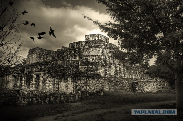 Mexica, там где люди становятся богами