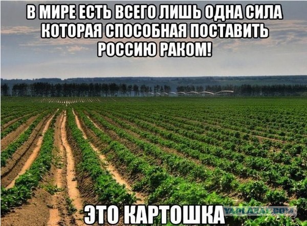 Для улыбок с утра