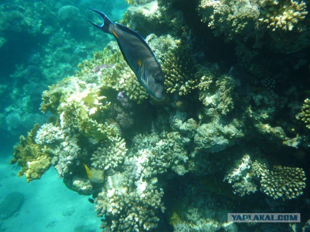 Пять дней которые потрясли мир