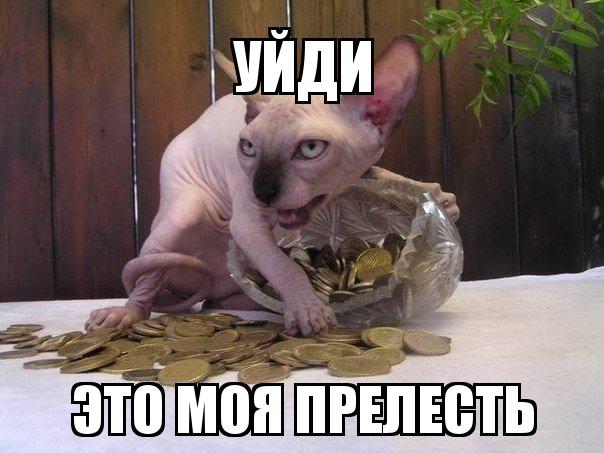 Веселости