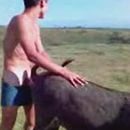 Хам на БМВ Х5 "учит" скорую в Москве