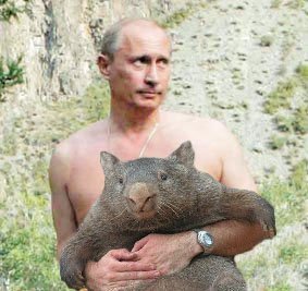 Плюшкиным посвящается