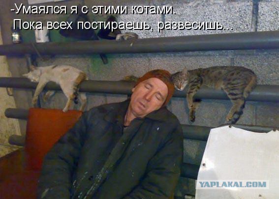 Как понять что батареи включили, не трогая их...