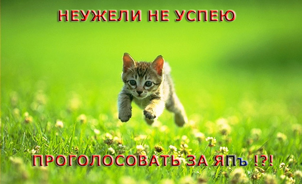 Они молятся за ЯПлакалъ !!!