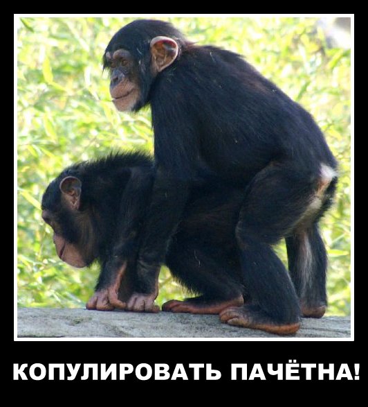 Фотоподборка "Любовь нечаянно нагрянет..."