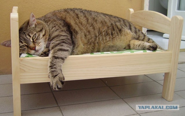 Лежанка для кота