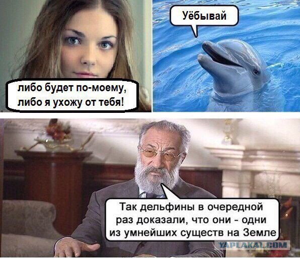 Уходит жена. Что делать? Схожу с ума.