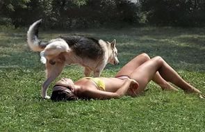 Кот такого не ожидал