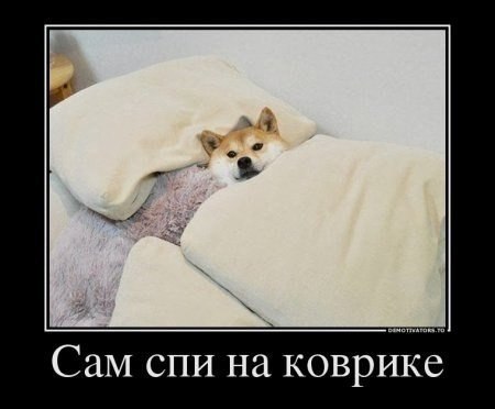 Подборка красивых картинок