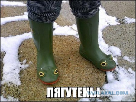 Картинки из сети
