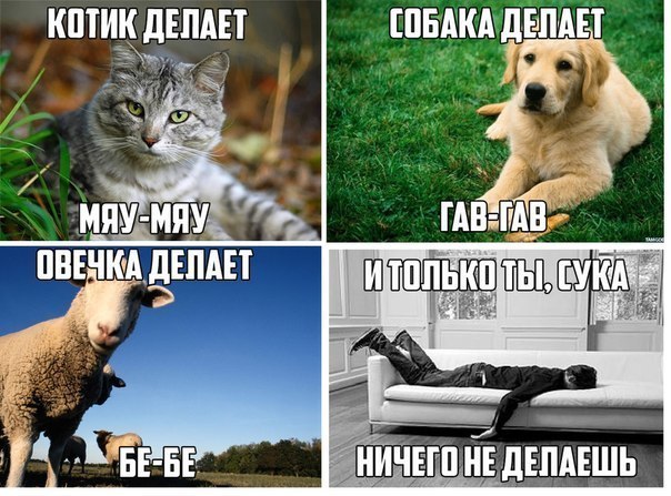 Случайные картинки