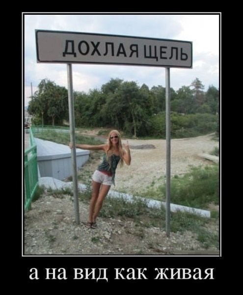 Подборка интересных и веселых картинок