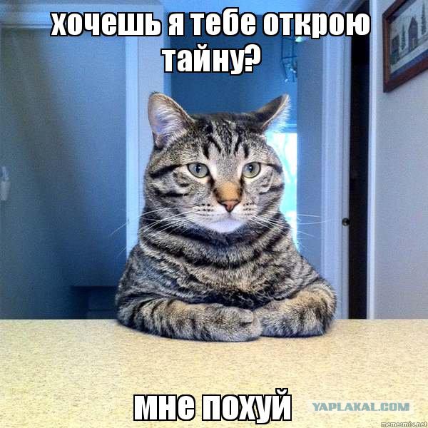 За Кузьмича под суд?