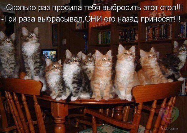 Мохнатые беспредельщики